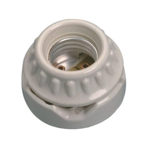 Edison Screw-In Socket
